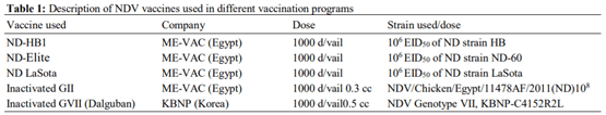 Evaluation of Some Vaccination Programs in Protection of Experimentally Challenged Broiler Chicken against Newcastle Disease Virus - Image 4
