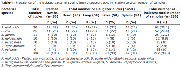 Prevalence, molecular typing, and antimicrobial resistance of bacterial pathogens isolated from ducks - Image 4