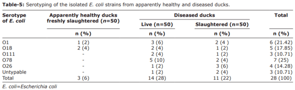 Prevalence, molecular typing, and antimicrobial resistance of bacterial pathogens isolated from ducks - Image 5