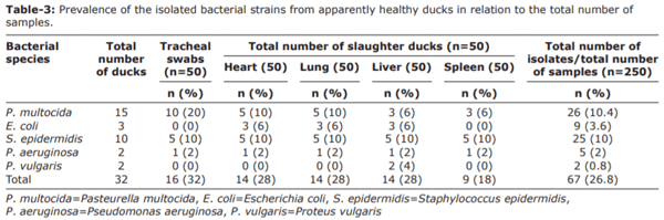 Prevalence, molecular typing, and antimicrobial resistance of bacterial pathogens isolated from ducks - Image 3