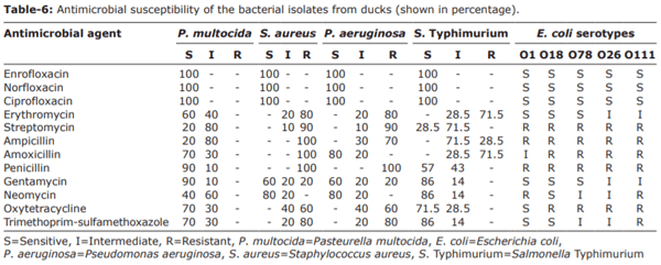 Prevalence, molecular typing, and antimicrobial resistance of bacterial pathogens isolated from ducks - Image 7
