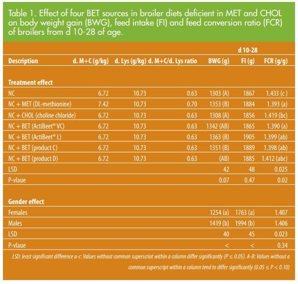 Better feed efficiency with naturally sourced betaine - Image 2