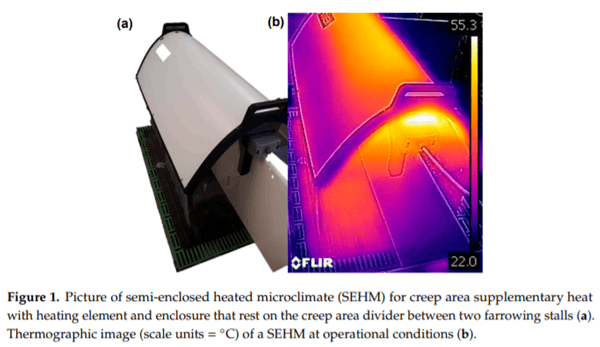 Pilot-Scale Assessment of a Novel Farrowing Creep Area Supplementary Heat Source - Image 1