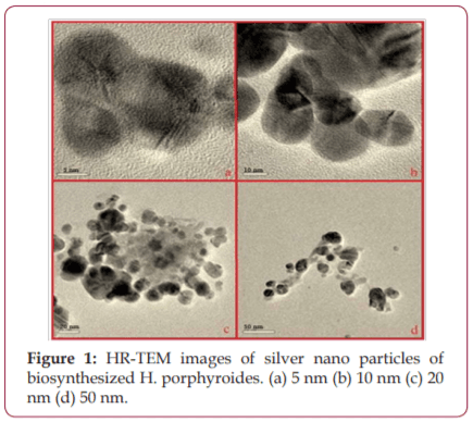 Investigation of Biosynthesized Silver Nano Particles Interaction From Halymenia Porphyroides With The E7 Protein Using Bioinformatics Tool - Image 1