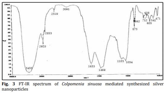 Biosynthesis and Characterization of Silver Nanoparticles from Marine Macroscopic Brown Seaweed Colpomenia sinuosa (Mertens ex Roth) Derbes and Solier - Image 3