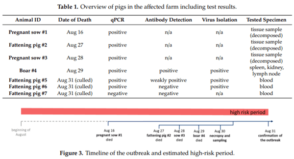 African Swine Fever in a Bulgarian Backyard Farm—A Case Report - Image 3