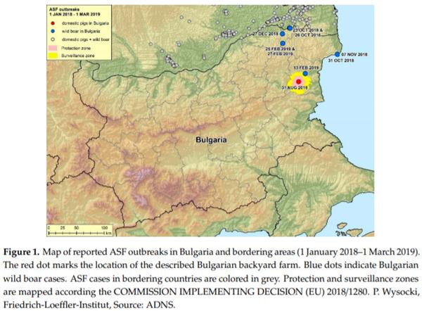 African Swine Fever in a Bulgarian Backyard Farm—A Case Report - Image 1