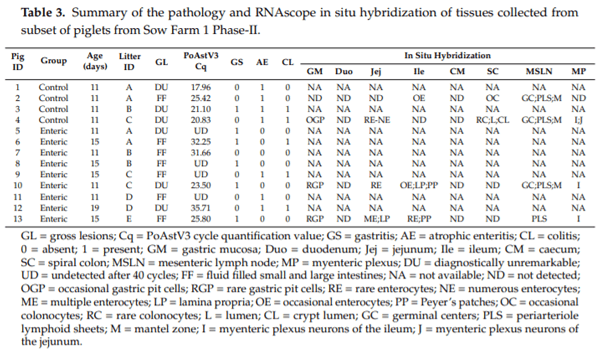 Detection and Cellular Tropism of Porcine Astrovirus Type 3 on Breeding Farms - Image 4