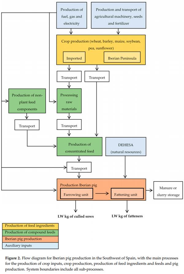 Life Cycle Assessment of Iberian Traditional Pig Production System in Spain - Image 2