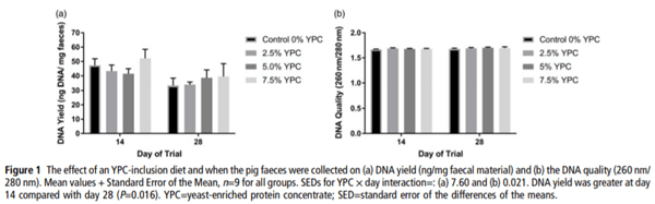 The association between faecal host DNA or faecal calprotectin and feed efficiency in pigs fed yeast-enriched protein concentrate - Image 4