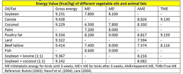 Unseen Challenges in Balancing Fat in Poultry Nutrition - Image 1