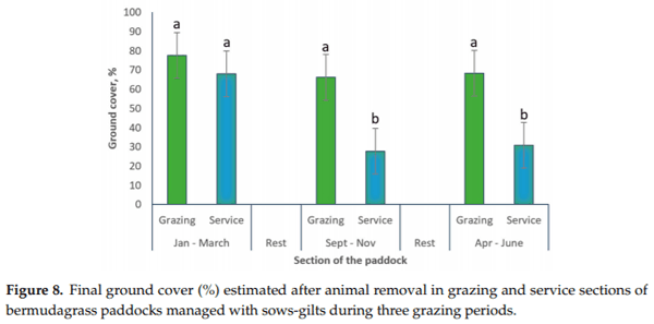 Sows-Gilts Stocking Rates and Their Environmental Impact in Rotationally Managed Bermudagrass Paddocks - Image 7