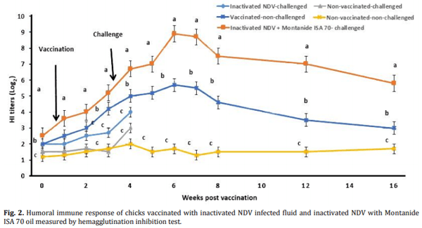 Efficacy of inactivated velogenic Newcastle disease virus genotype VII vaccine in broiler chickens - Image 2