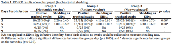 Efficacy of inactivated velogenic Newcastle disease virus genotype VII vaccine in broiler chickens - Image 3