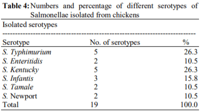 Prevalence and Genotypic Analysis and Antibiotic Resistance of Salmonella Species Isolated from Imported and Freshly Slaughtered Chicken - Image 4