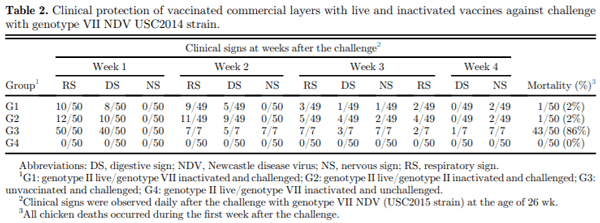 Protective efficacy of the Newcastle disease virus genotype VII–matched vaccine in commercial layers - Image 4