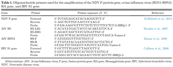 Protective efficacy of the Newcastle disease virus genotype VII–matched vaccine in commercial layers - Image 3