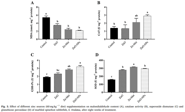 Growth performance, anti-oxidative status, innate immunity, and ammonia stress resistance of Siganus rivulatus fed diet supplemented with zinc and zinc nanoparticles - Image 8