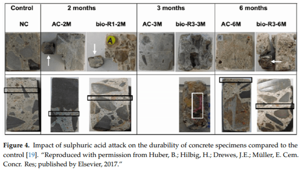 Durability Issues and Corrosion of Structural Materials and Systems in Farm Environment - Image 8