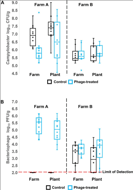 Bacteriophages to Control Campylobacter in Commercially Farmed Broiler Chickens, in Australia - Image 4