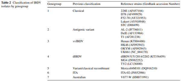 Classification of infectious bursal disease virus into genogroups - Image 3