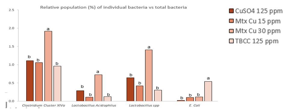 Benefits of Chelated Copper in Poultry Diet - Image 5