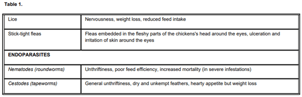 Factors Affecting Egg Production in Backyard Chicken Flocks - Image 4