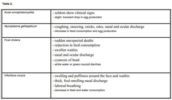 Factors Affecting Egg Production in Backyard Chicken Flocks - Image 6