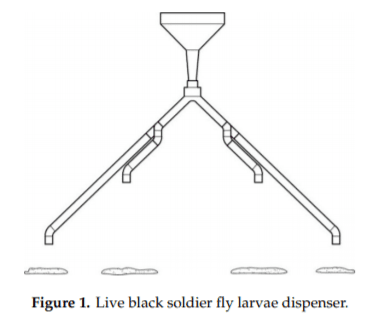 Gradual Provision of Live Black Soldier Fly (Hermetia illucens) Larvae to Older Laying Hens: Effect on Production Performance, Egg Quality, Feather Condition and Behavior - Image 2