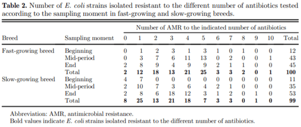 The dynamic of antibiotic resistance in commensal Escherichia coli throughout the growing period in broiler chickens: fast-growing vs. slow-growing breeds - Image 4