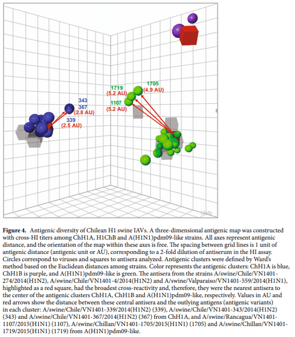Antigenic characterization of novel H1 infuenza A viruses in swine - Image 6