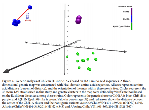 Antigenic characterization of novel H1 infuenza A viruses in swine - Image 2