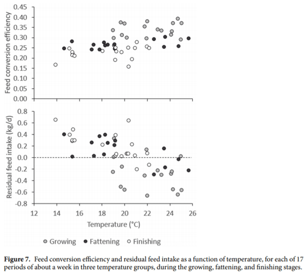 Impact of environmental temperature on production traits in pigs - Image 16