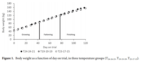 Impact of environmental temperature on production traits in pigs - Image 4