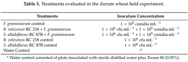 Biocontrol of Fusarium graminearum sensu stricto, Reduction of Deoxynivalenol Accumulation and Phytohormone Induction by Two Selected Antagonists - Image 5