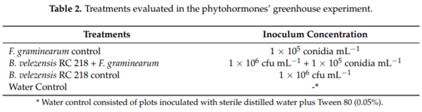 Biocontrol of Fusarium graminearum sensu stricto, Reduction of Deoxynivalenol Accumulation and Phytohormone Induction by Two Selected Antagonists - Image 4