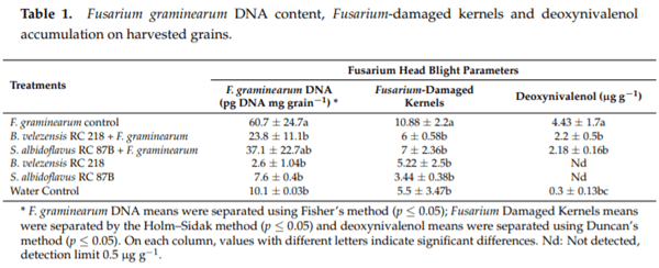 Biocontrol of Fusarium graminearum sensu stricto, Reduction of Deoxynivalenol Accumulation and Phytohormone Induction by Two Selected Antagonists - Image 3