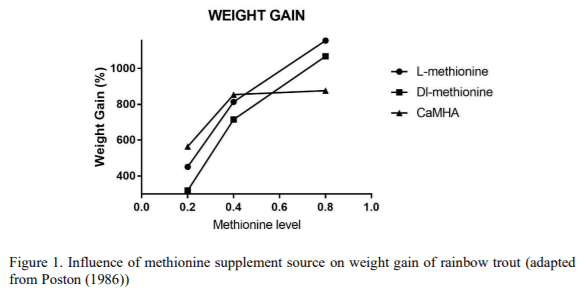 Exploring the nutritional potential of L-methionine in fish nutrition - Image 2