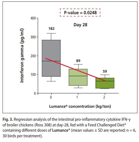 Growth promotion and alleviation of chronic intestinal inflammation by Lumance® in broilers under a dietary challenge - Image 5