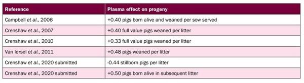 Plasma Supports Pig Health and Herd Productivity - Image 3