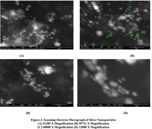 Biogenic silver nanoparticles by Halymenia poryphyroides and its in vitro anti-diabetic efficacy - Image 4