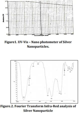 Biological synthesis of silver nanoparticles from marine alga Colpomenia sinuosa and its in vitro anti-diabetic activity - Image 1
