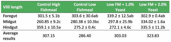 Functional yeast protein improves fish health in reduced fishmeal diets - Image 4
