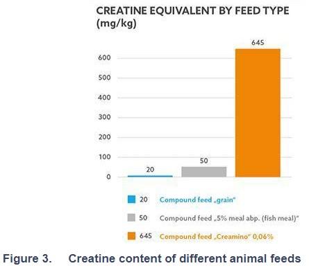 Creatine for animal feeds. 10 key facts - Image 3