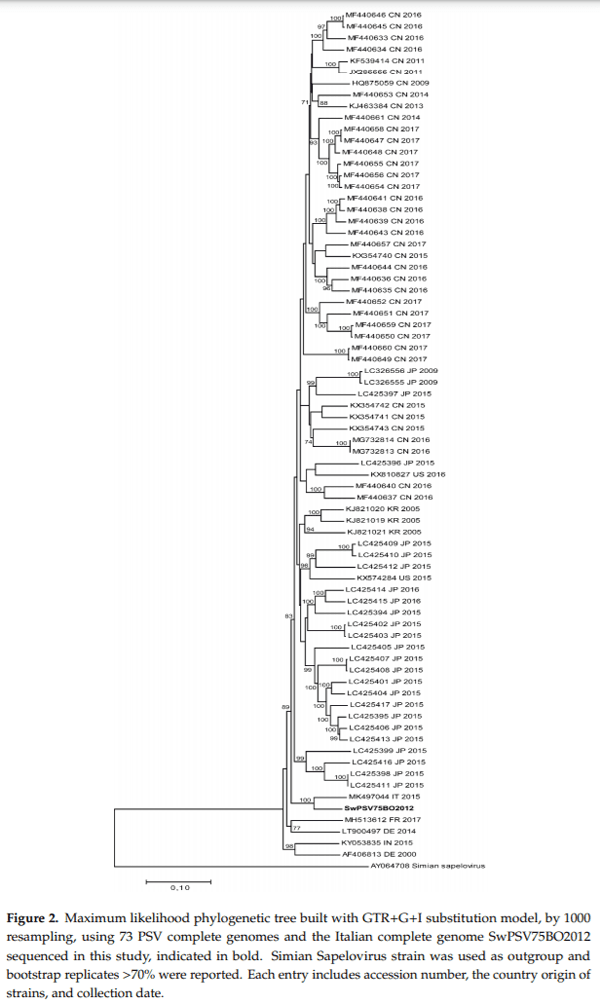 Detection and Characterization of Porcine Sapelovirus in Italian Pig Farms - Image 3