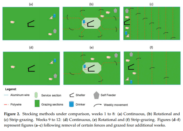 A Comparison of Stocking Methods for Pasture-Based Growing-Finishing Pig Production Systems - Image 3