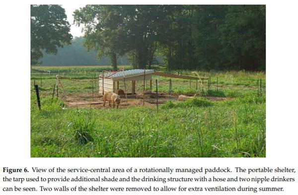 A Comparison of Stocking Methods for Pasture-Based Growing-Finishing Pig Production Systems - Image 6