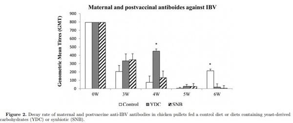 Maternal antibody decay and antibody-mediated immune responses in chicken pullets fed prebiotics and synbiotics - Image 2