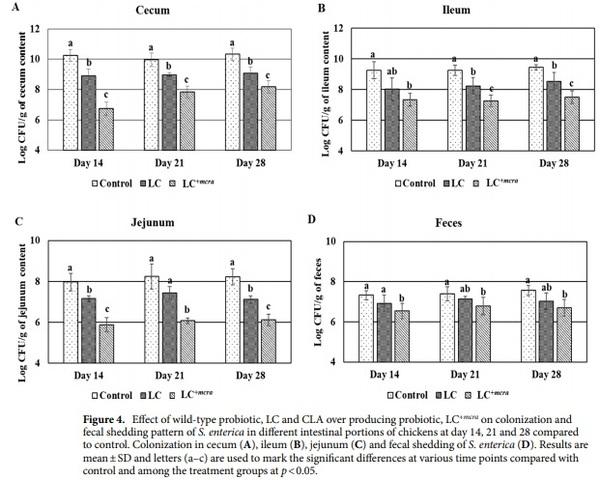 Competitive reduction of poultry-borne enteric bacterial pathogens in chicken gut with bioactive Lactobacillus casei - Image 4