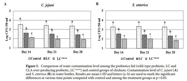 Competitive reduction of poultry-borne enteric bacterial pathogens in chicken gut with bioactive Lactobacillus casei - Image 5